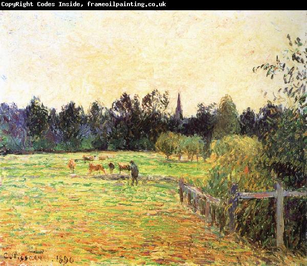 Camille Pissarro Cattle